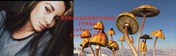 ГАЛЛЮЦИНОГЕННЫЕ ГРИБЫ Алзамай