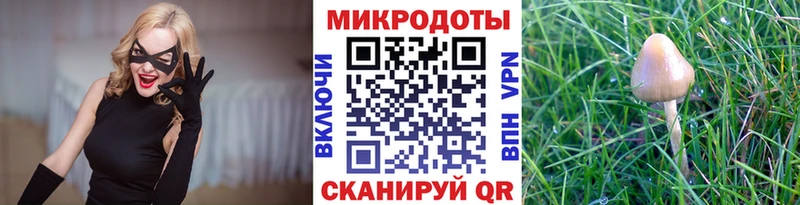 где купить наркоту Стародуб Псилоцибиновые грибы ЛСД